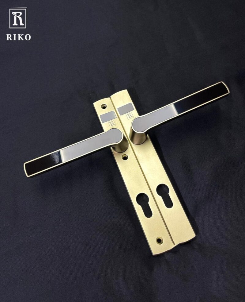 Tay Cửa Đi RKDL-CNC Bạc và Champagne